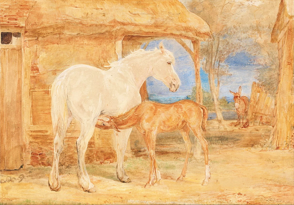Grey Mare e un puledro